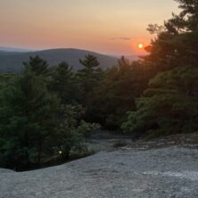 Red Spruce on Maine Granite Outcrop