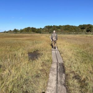 Salt Marsh, Cape Cod Massachusetts