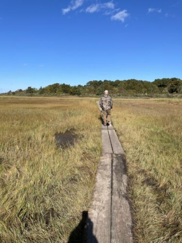 Salt Marsh, Cape Cod Massachusetts