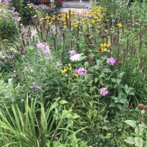 Home Wildflower Garden Mosaic
