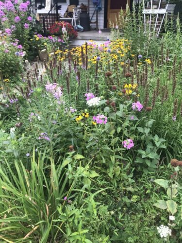 Home Wildflower Garden Mosaic