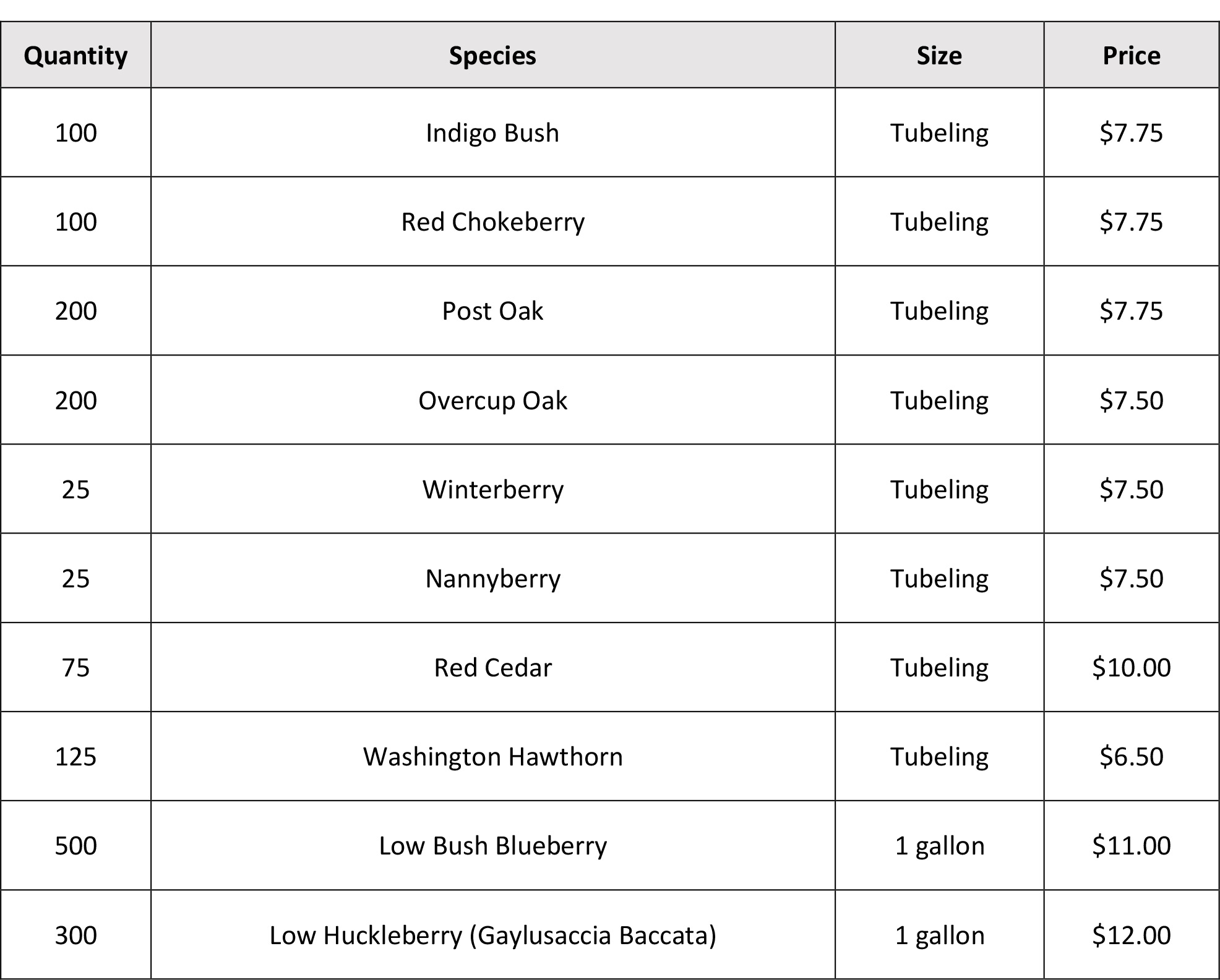 sylva-native_Scrub-Oak---Heath-Community